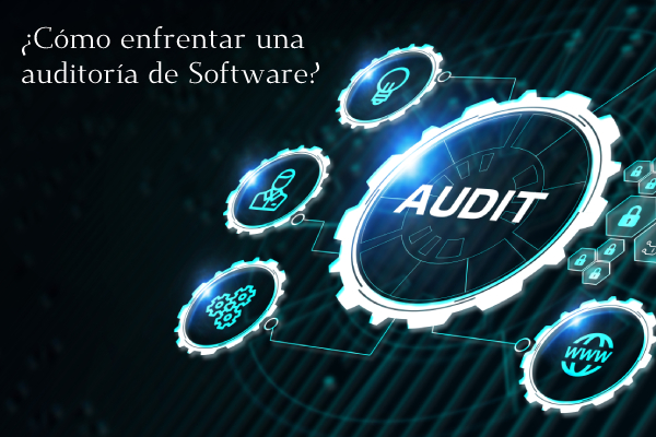 Proceso de una auditoría de software